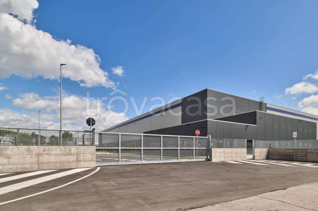 immagine annuncio 6 di 7