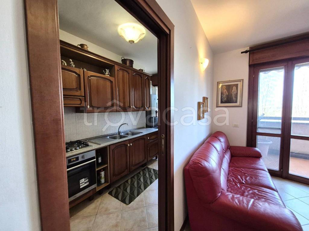 immagine annuncio 7 di 15