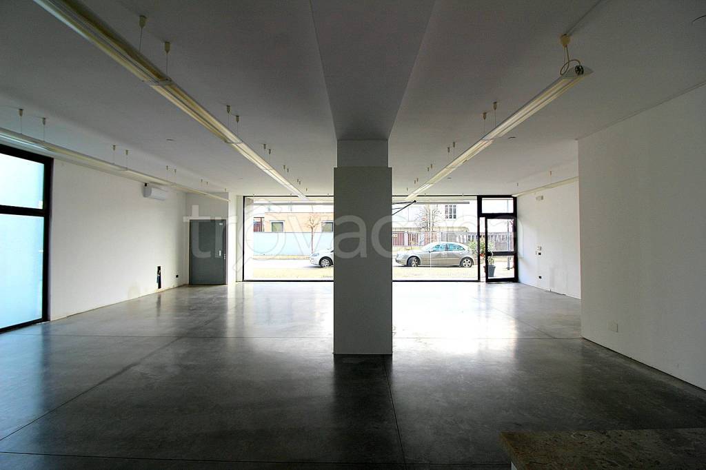 immagine annuncio 9 di 14