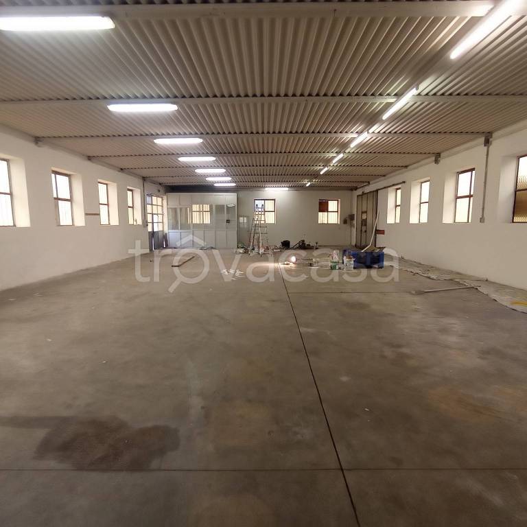 immagine annuncio 5 di 9