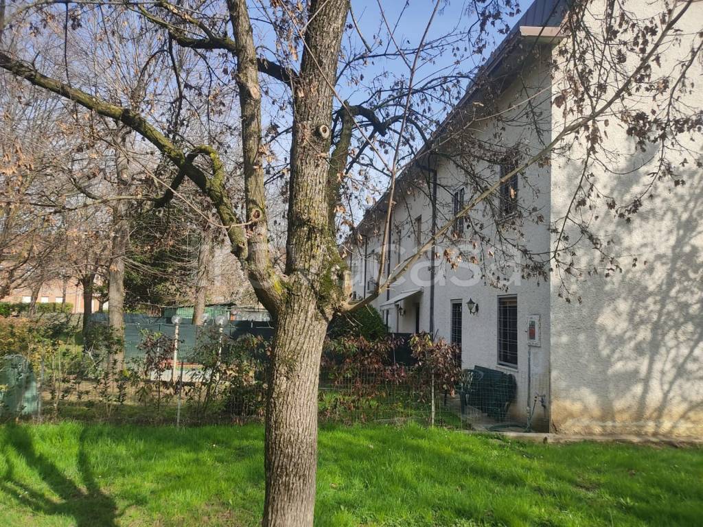 immagine annuncio 1 di 15