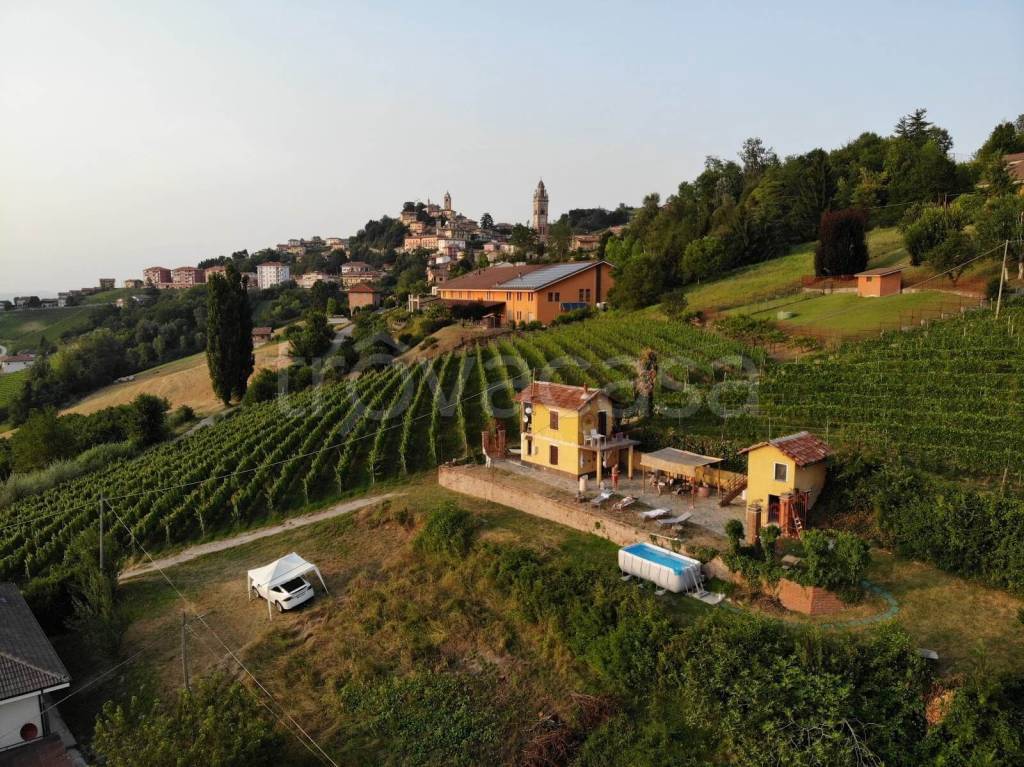 immagine annuncio 10 di 14