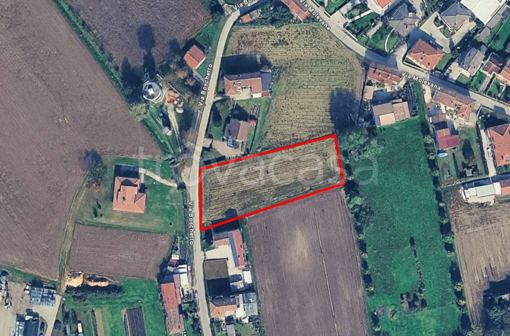 immagine annuncio 1 di 2