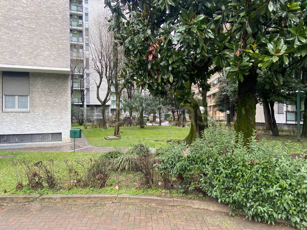 immagine annuncio 2 di 3