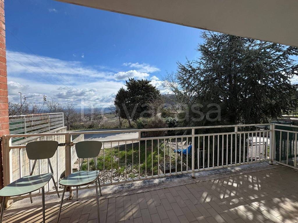 immagine annuncio 6 di 12