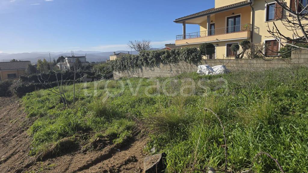 immagine annuncio 2 di 4