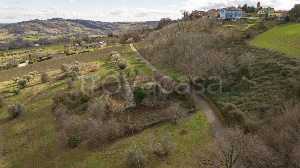 immagine annuncio 6 di 14