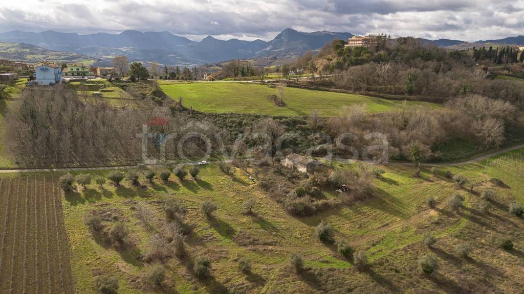 immagine annuncio 7 di 14