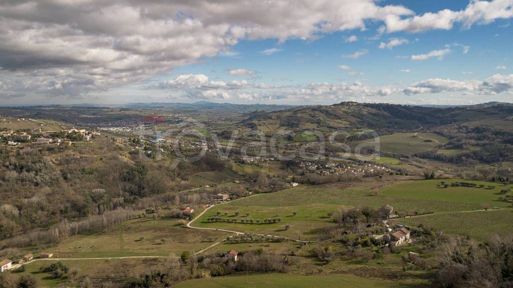 immagine annuncio 11 di 14