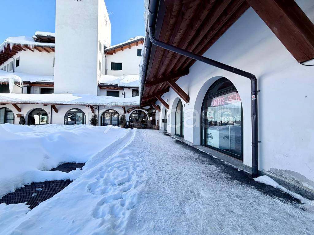 immagine annuncio 12 di 14