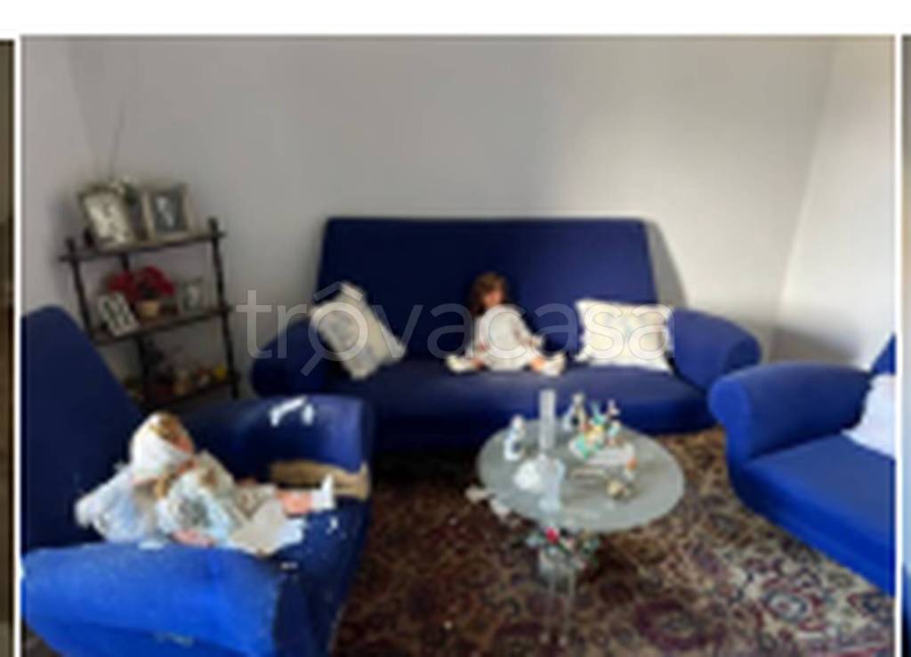 immagine annuncio 11 di 14