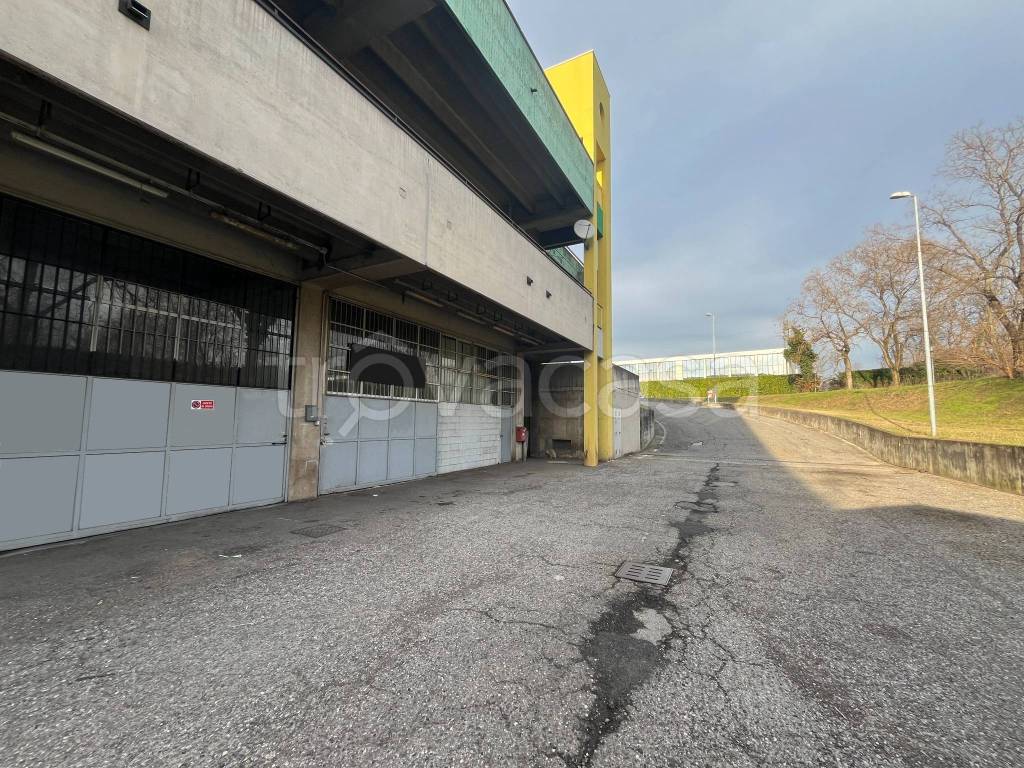 immagine annuncio 5 di 10