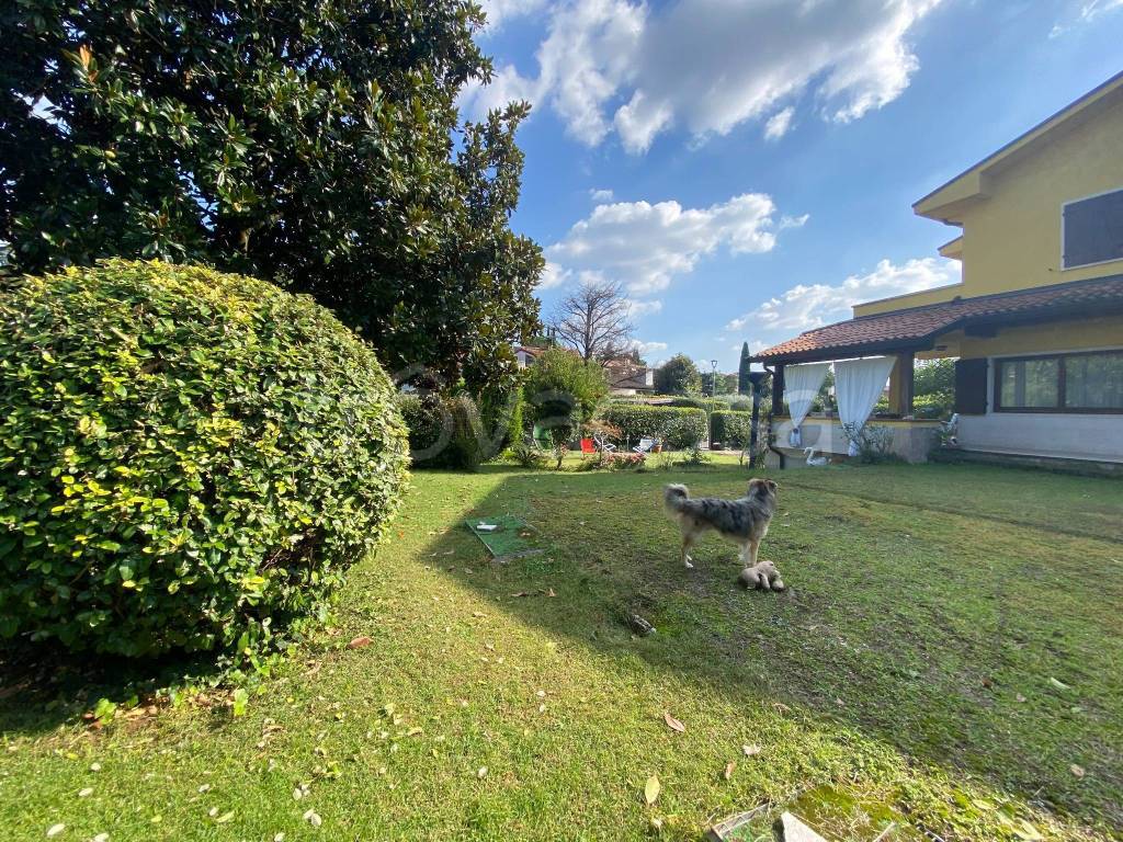 immagine annuncio 3 di 14