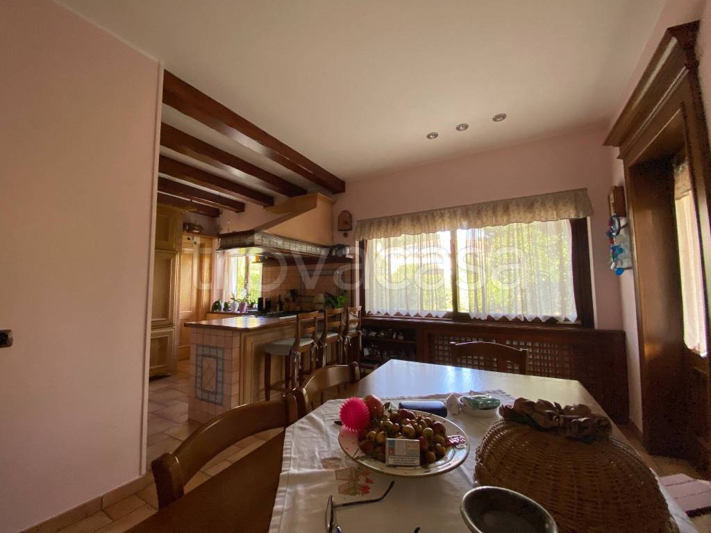 immagine annuncio 11 di 14