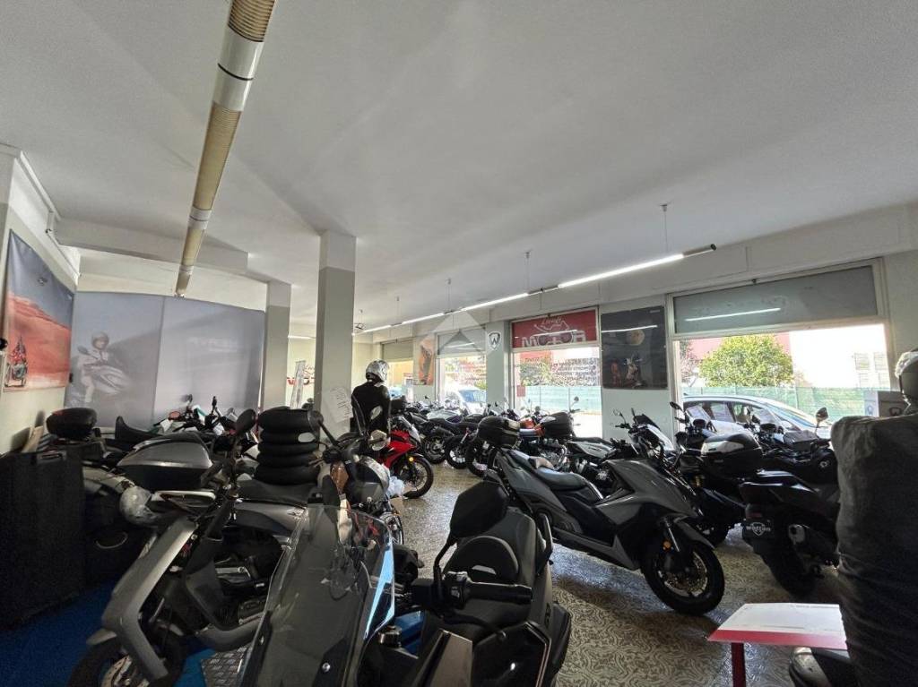 immagine annuncio 6 di 15