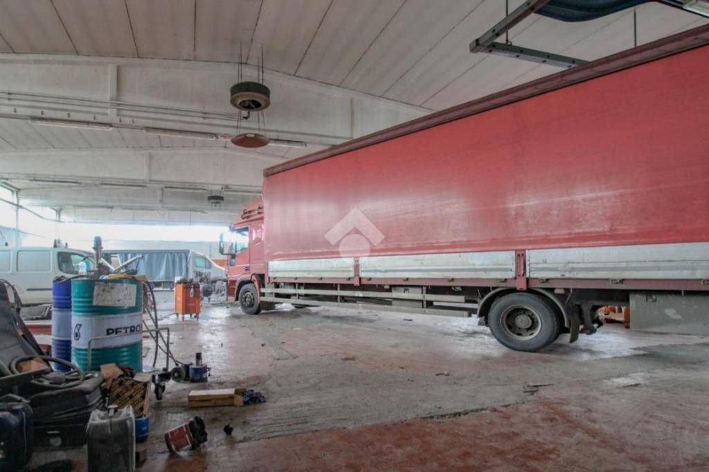 immagine annuncio 5 di 15