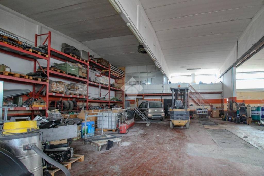 immagine annuncio 9 di 15