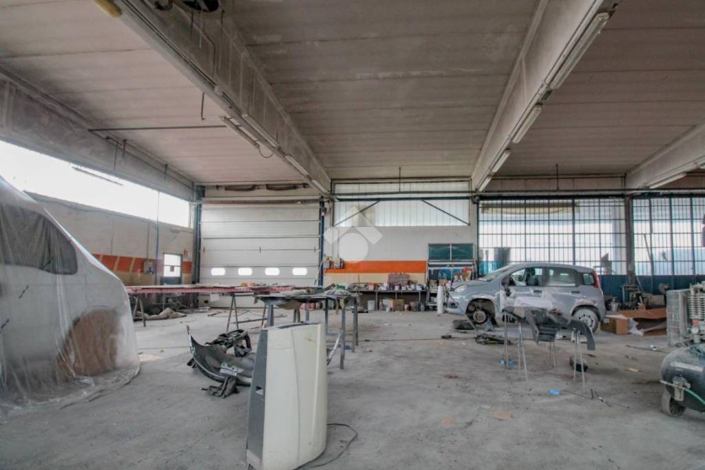 immagine annuncio 10 di 15