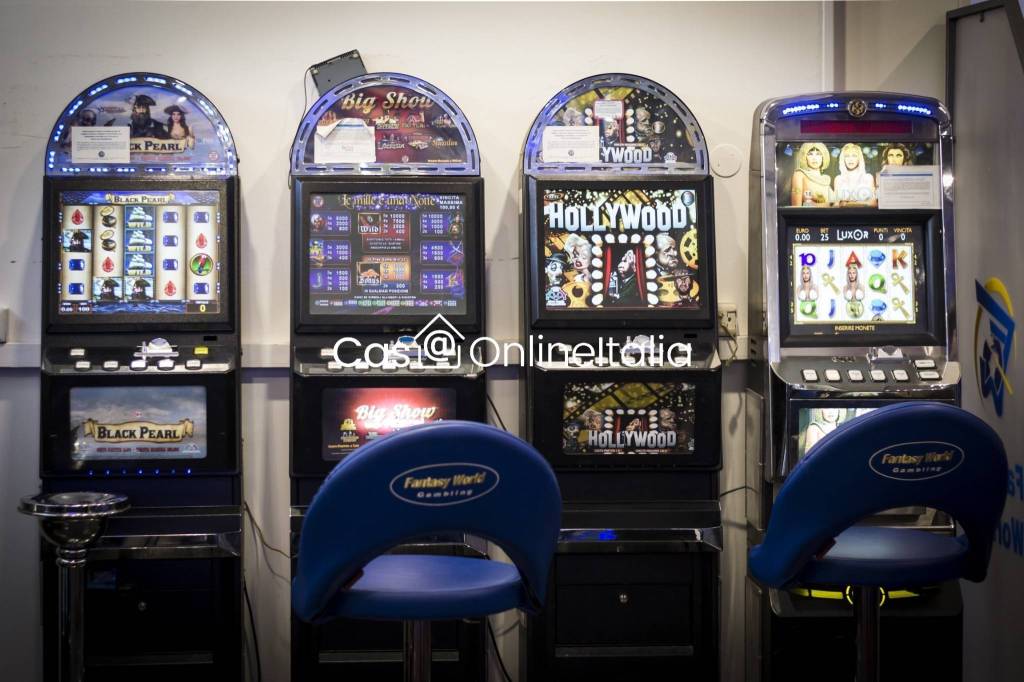 immagine annuncio 3 di 15