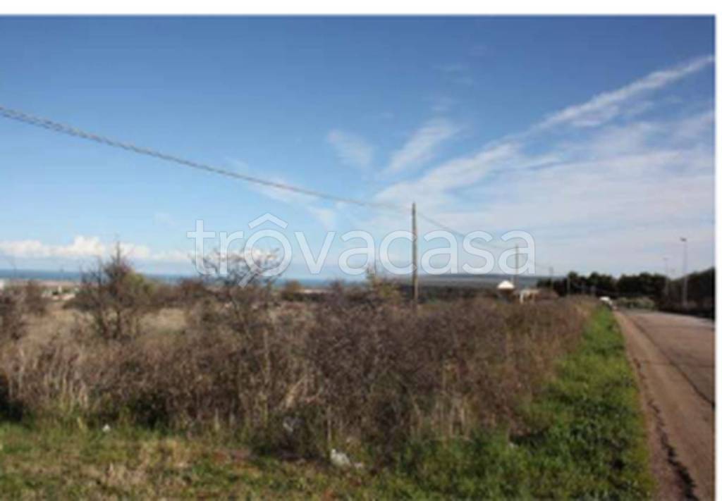 immagine annuncio 10 di 13