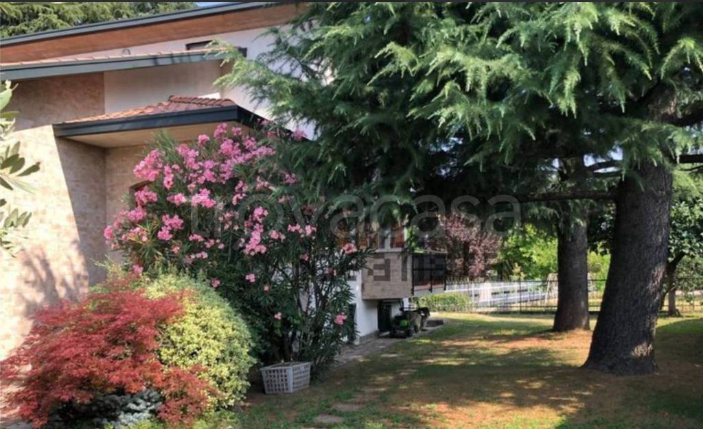 immagine annuncio 10 di 12