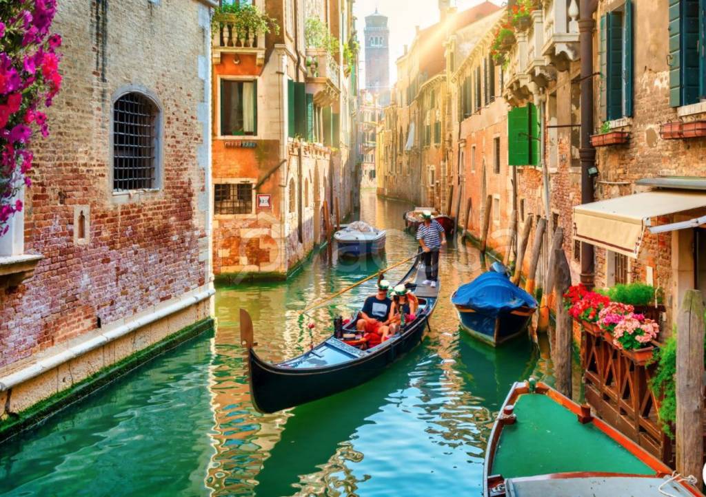 immagine annuncio 3 di 14