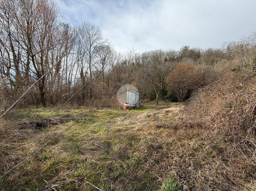 immagine annuncio 1 di 6