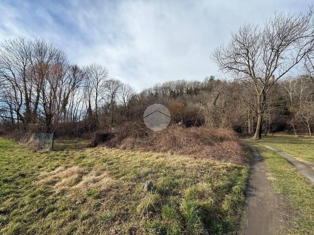 immagine annuncio 3 di 6