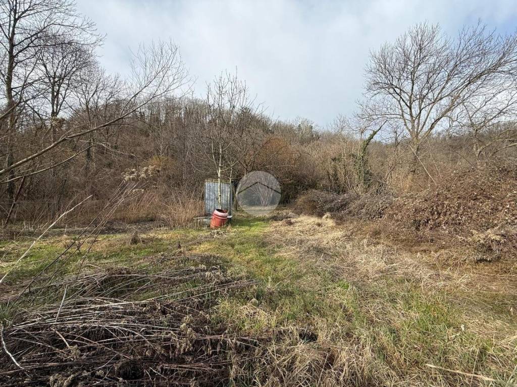 immagine annuncio 4 di 6