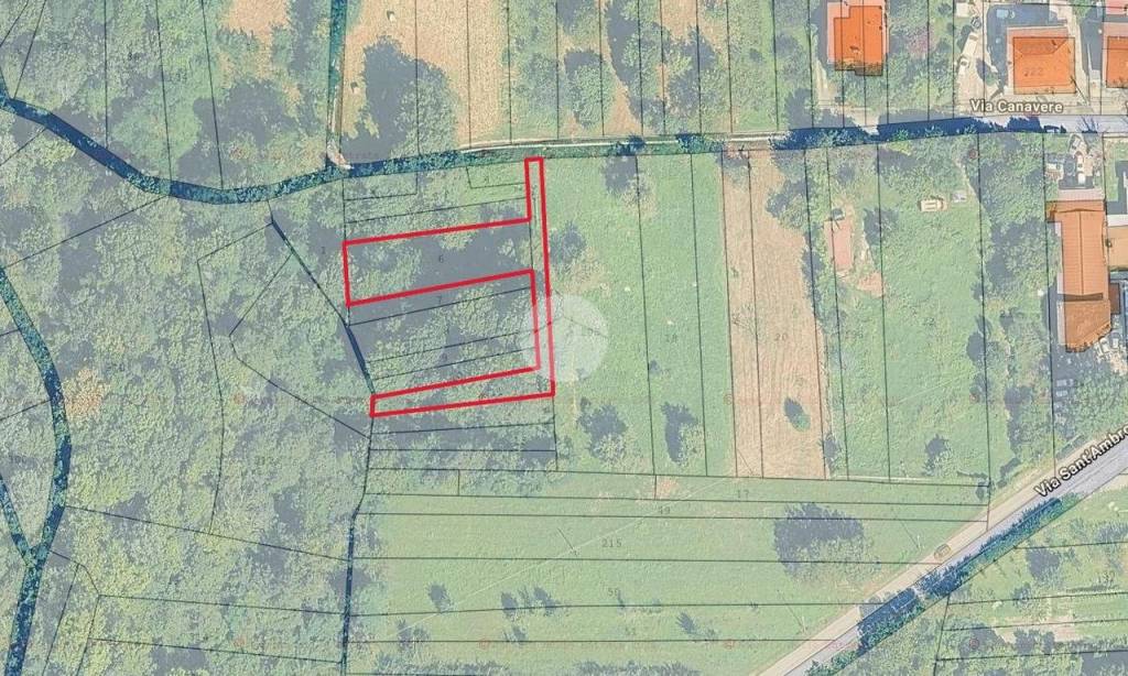 immagine annuncio 5 di 6