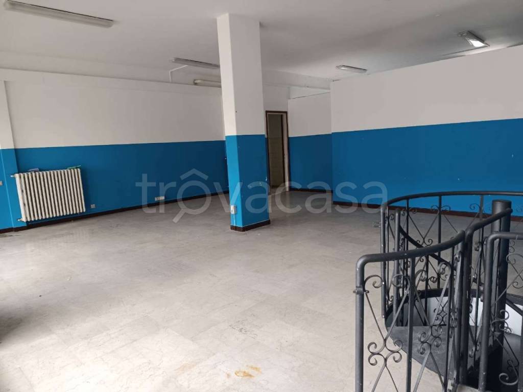 immagine annuncio 3 di 14