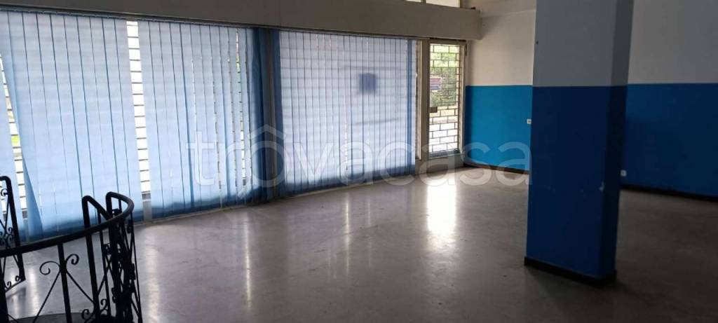 immagine annuncio 12 di 14