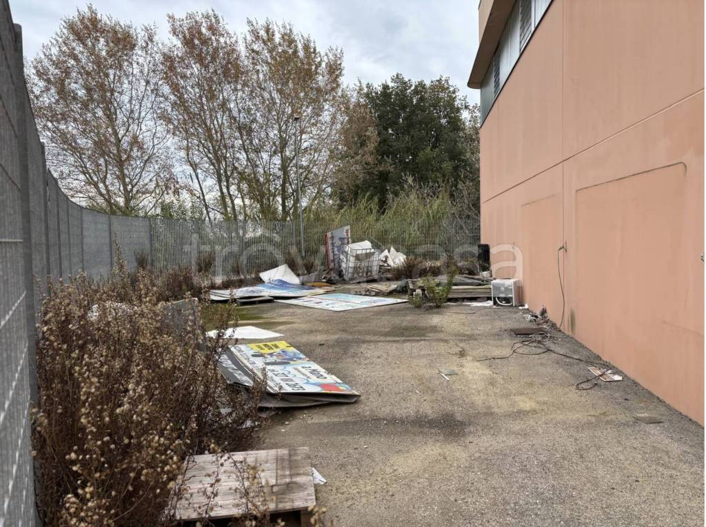 immagine annuncio 1 di 9