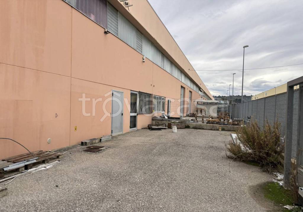 immagine annuncio 2 di 9