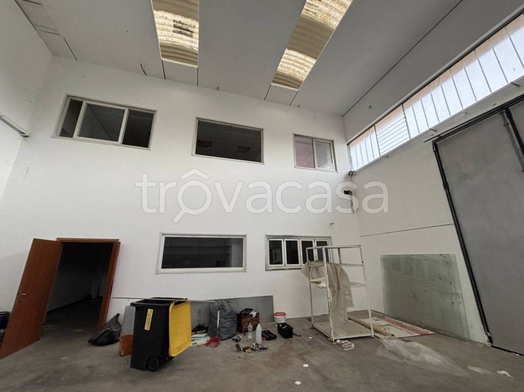 immagine annuncio 6 di 9