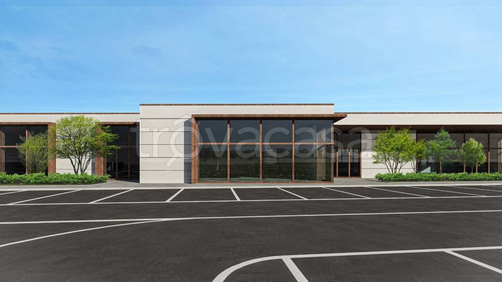 immagine annuncio 2 di 6