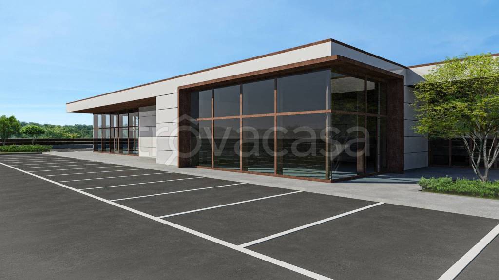 immagine annuncio 4 di 6