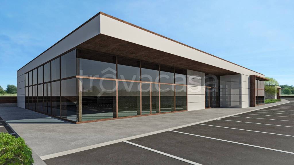 immagine annuncio 5 di 6