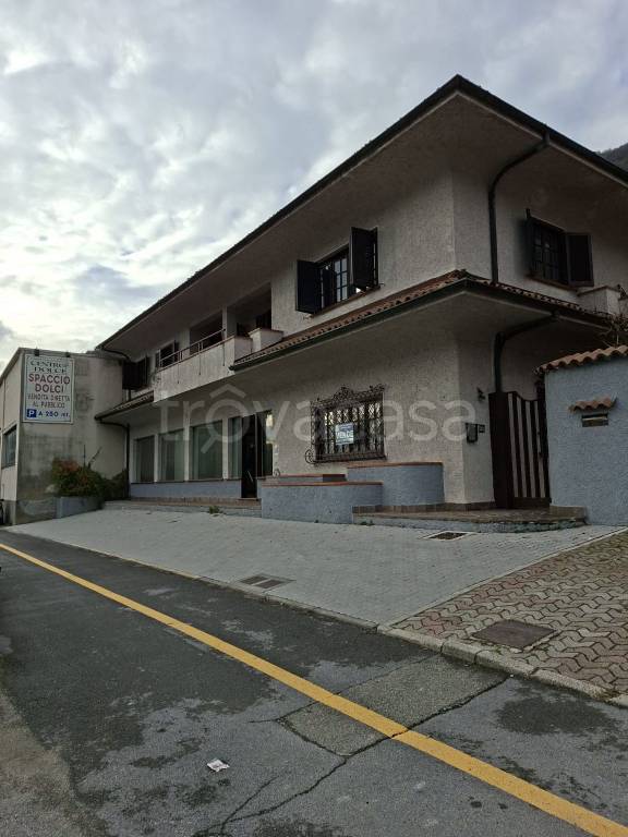 immagine annuncio 3 di 8