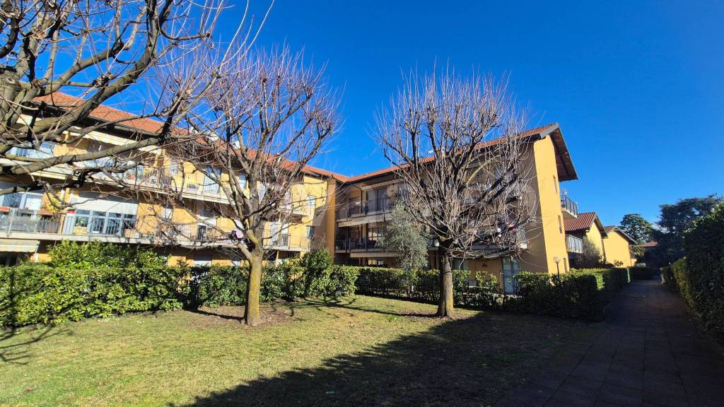 immagine annuncio 3 di 15