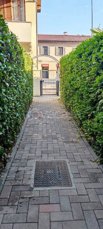 immagine annuncio 10 di 14