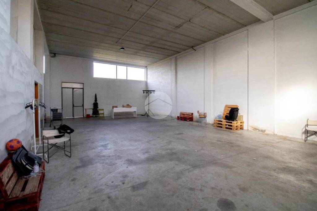 immagine annuncio 4 di 12