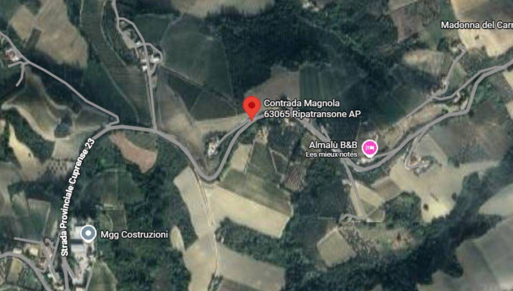 immagine annuncio 9 di 11