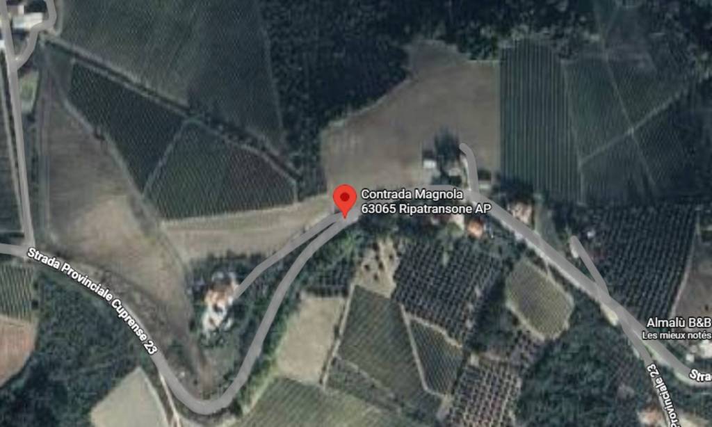 immagine annuncio 10 di 11