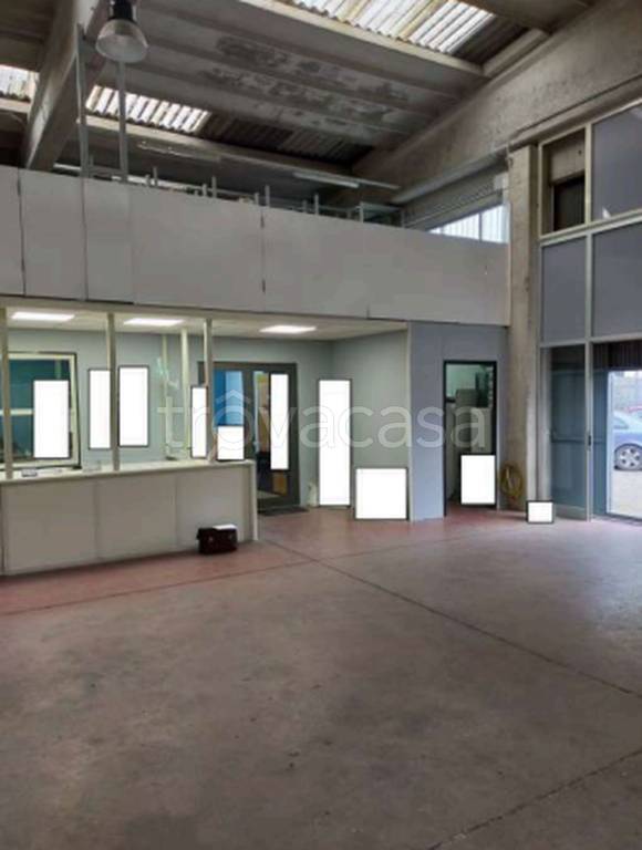 immagine annuncio 2 di 11