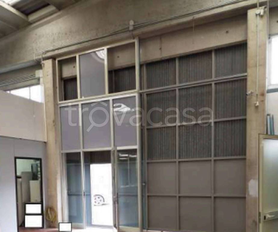 immagine annuncio 5 di 11