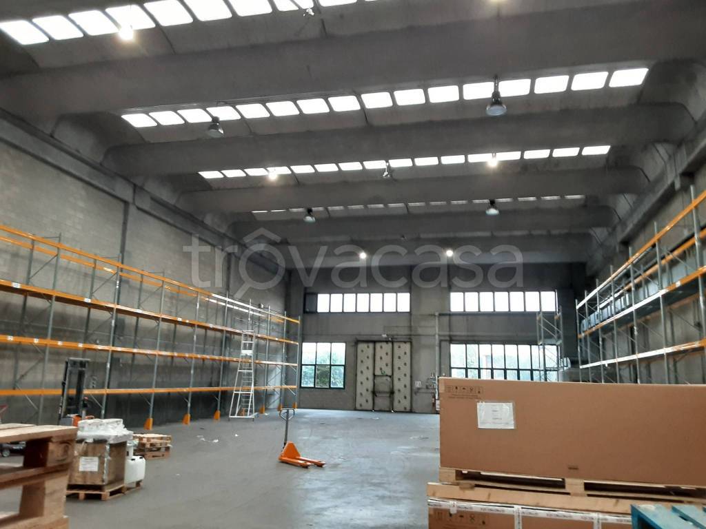 immagine annuncio 5 di 15