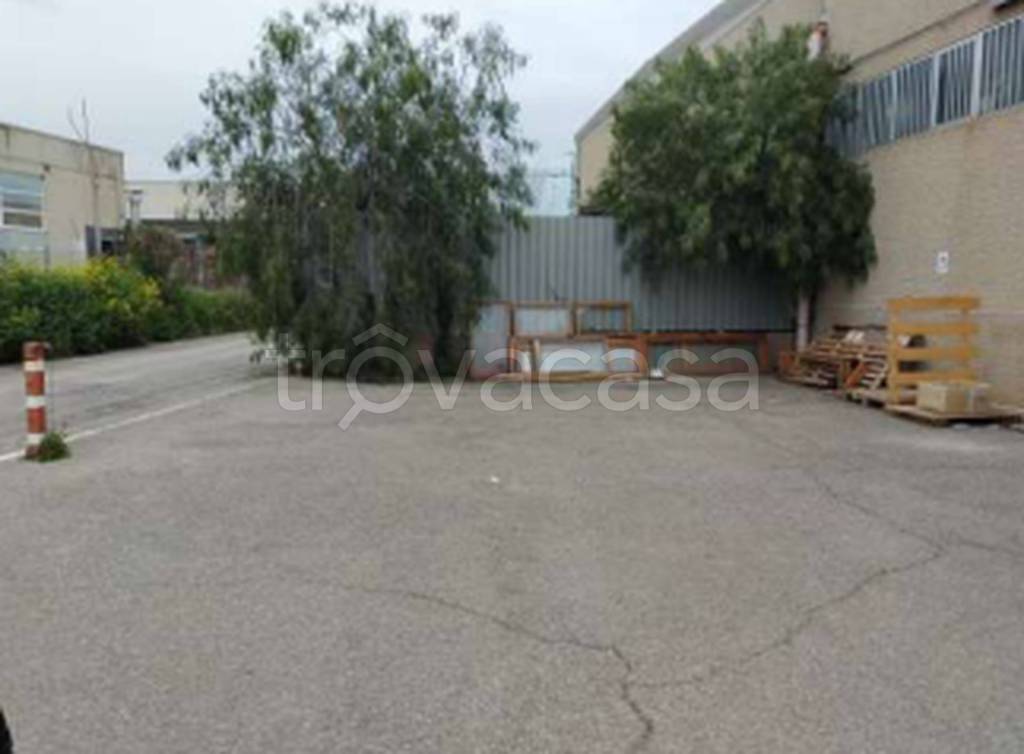 immagine annuncio 6 di 11