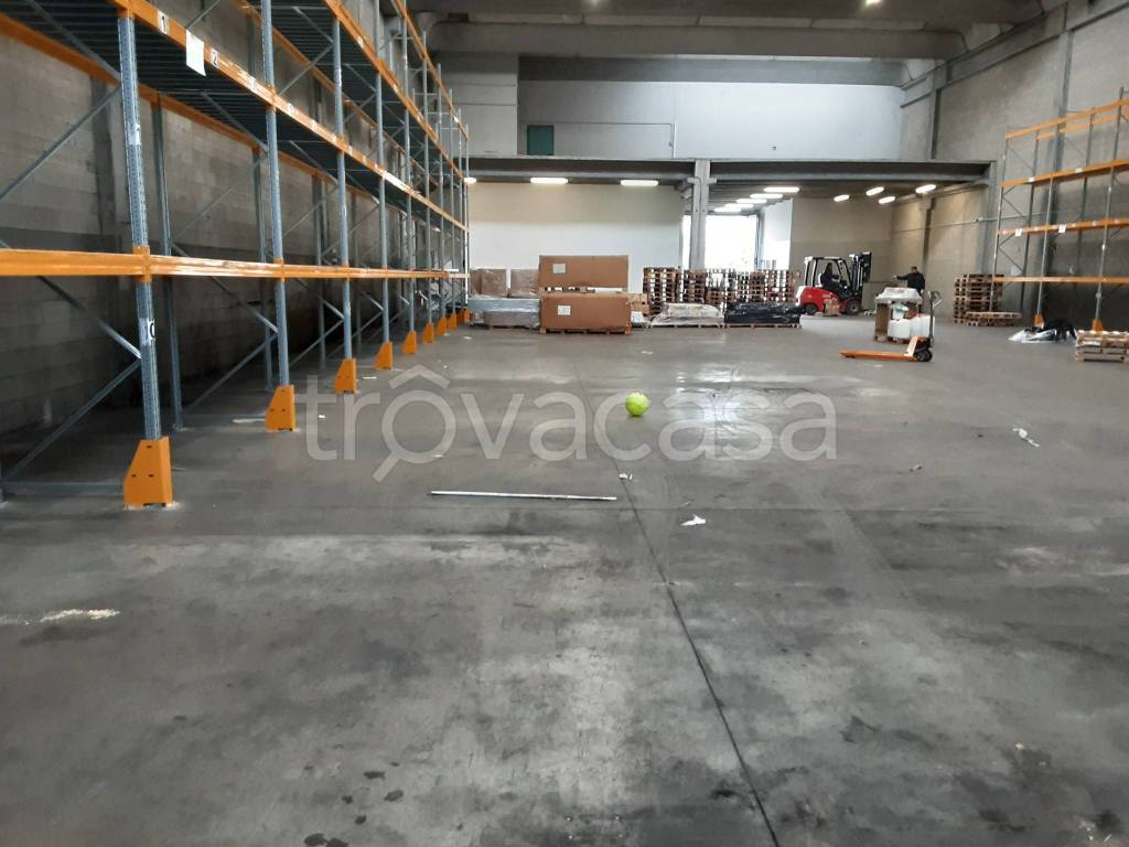 immagine annuncio 9 di 15