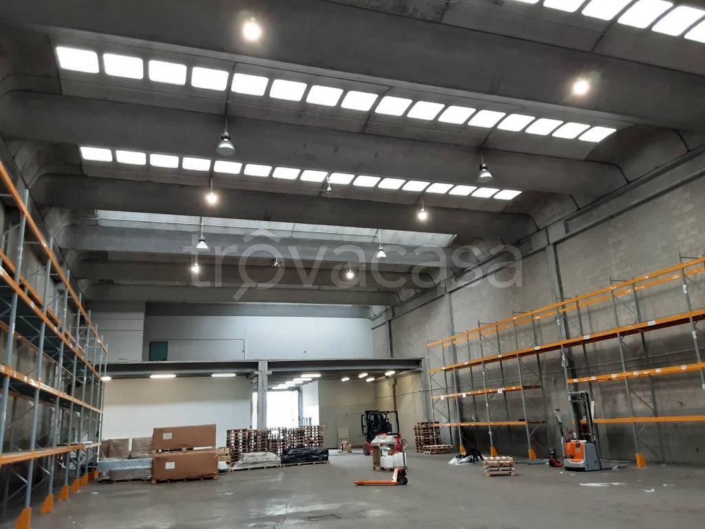 immagine annuncio 8 di 15